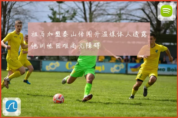 祖马加盟泰山传闻升温媒体人透露他训练困难尚无障碍