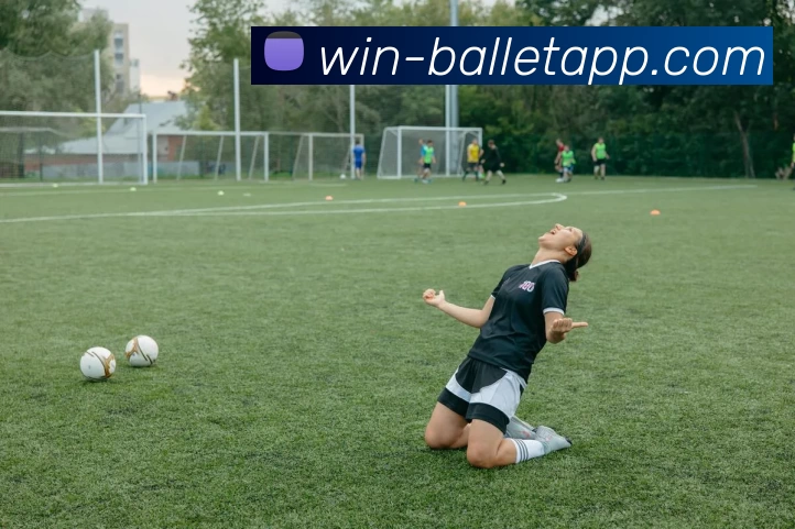 BB体育APP 封面图